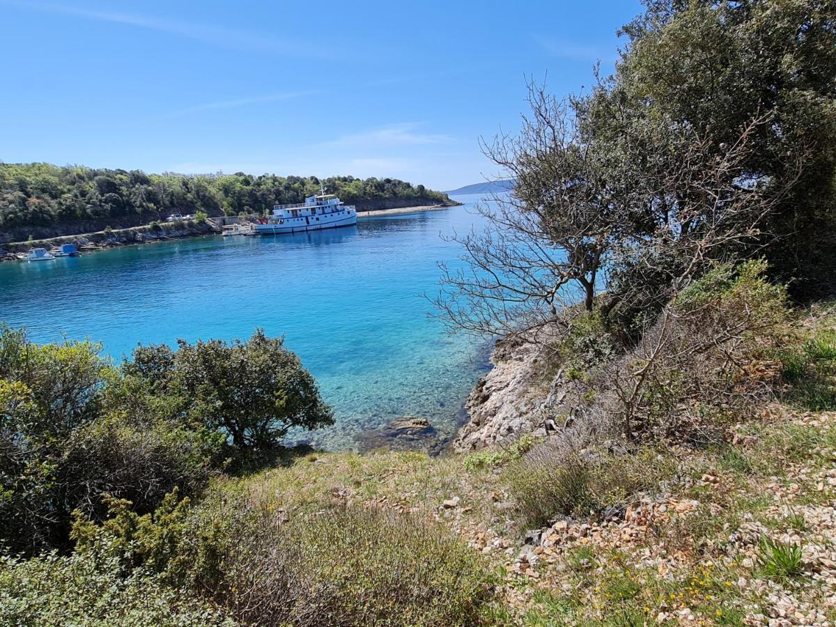 Nef Apartma Pinezici (Krk)