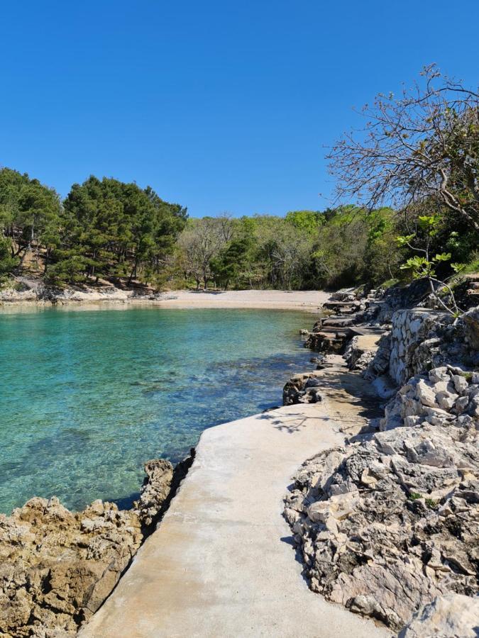 Nef Pinezici (Krk)